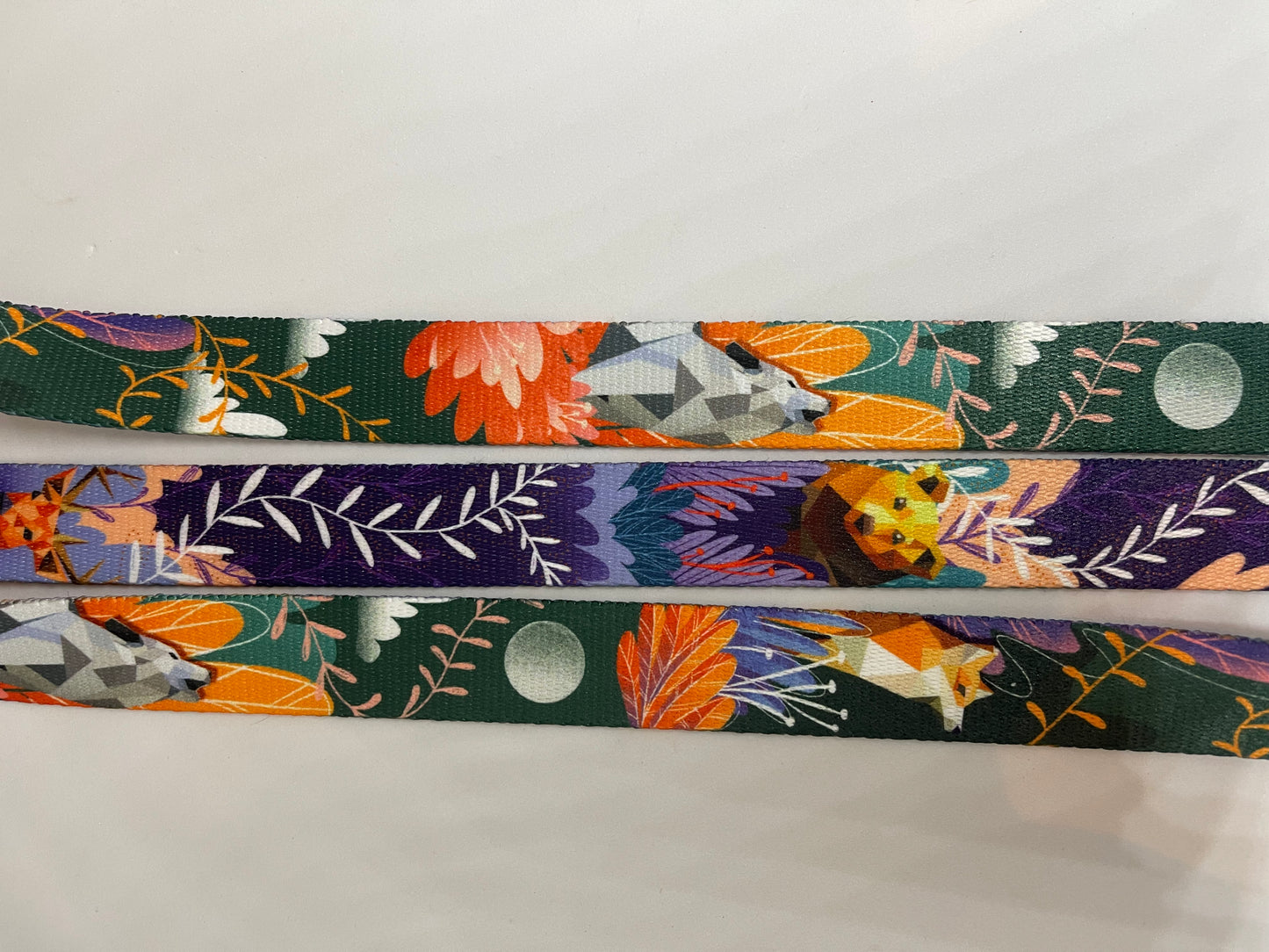 Wolf & Fox 2.5cm collar