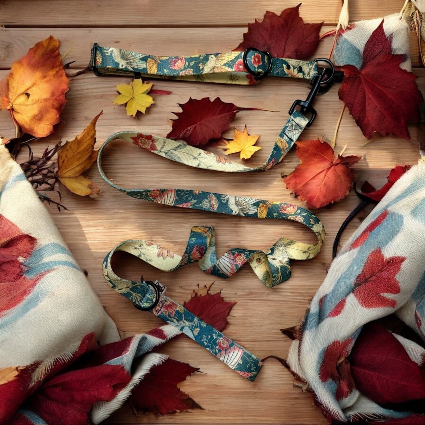 Cute monster collar 2.5cm wide