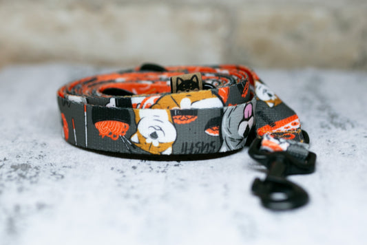 Sushi Akita Adjustable Lead