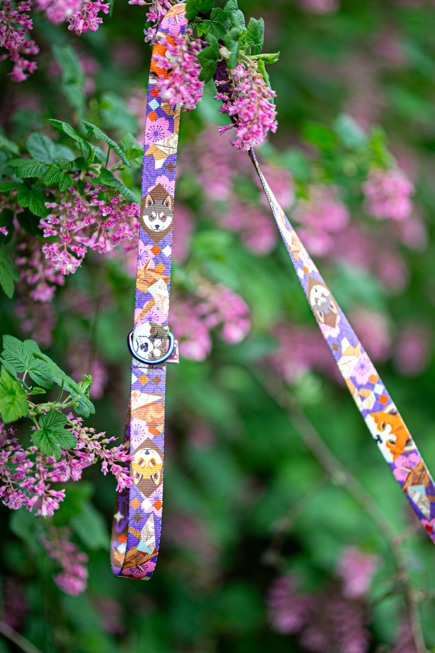 Origami Inu Collar 2,5cm width